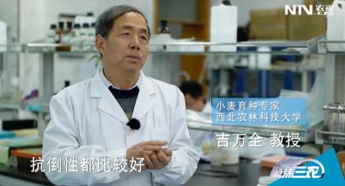 1646375169124256.jpg 110.jpg