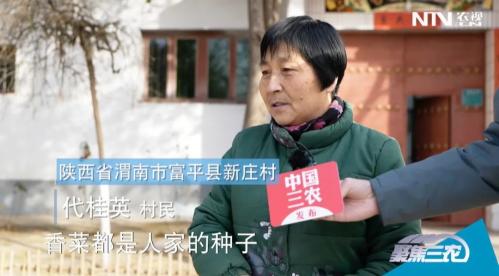 1646375257984294.jpg 118.jpg