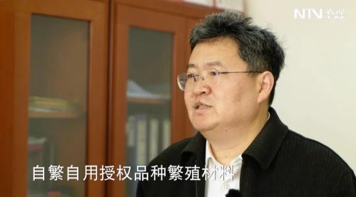 1646375274124398.jpg 119.jpg