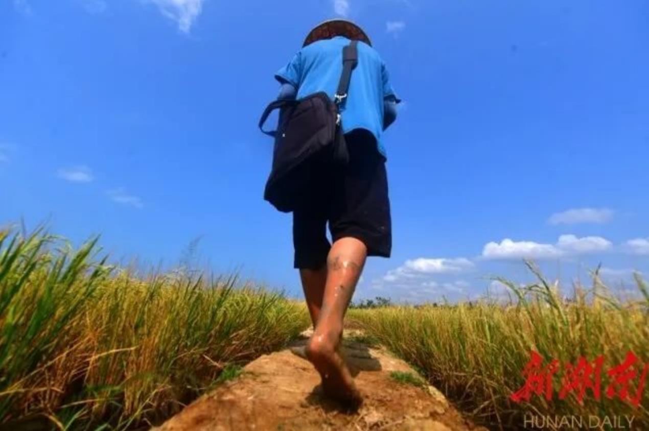 1648716289639166.jpg QQ浏览器截图20220331164417.jpg