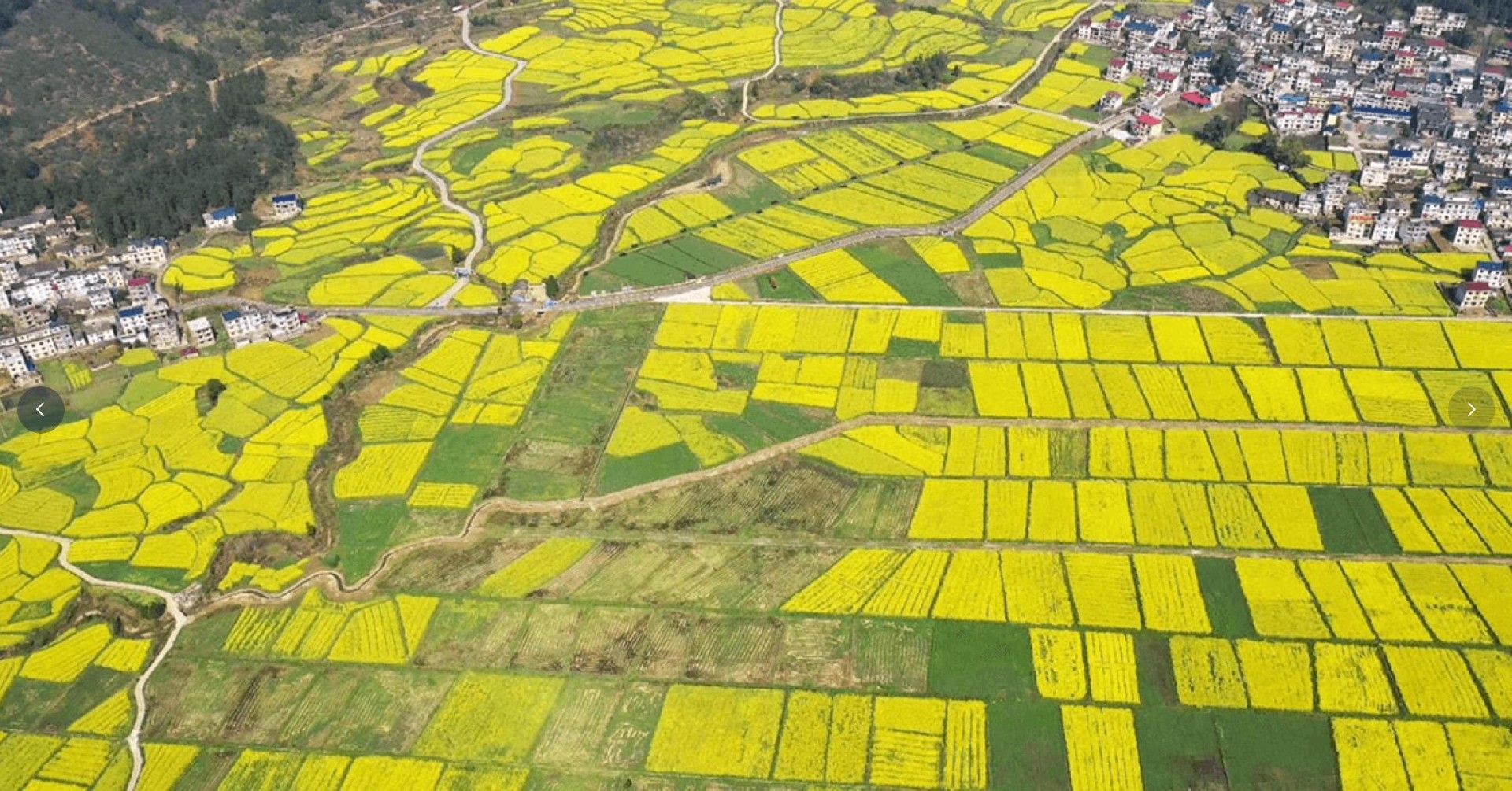 1649984705179229.jpg QQ浏览器截图20220412114700.jpg