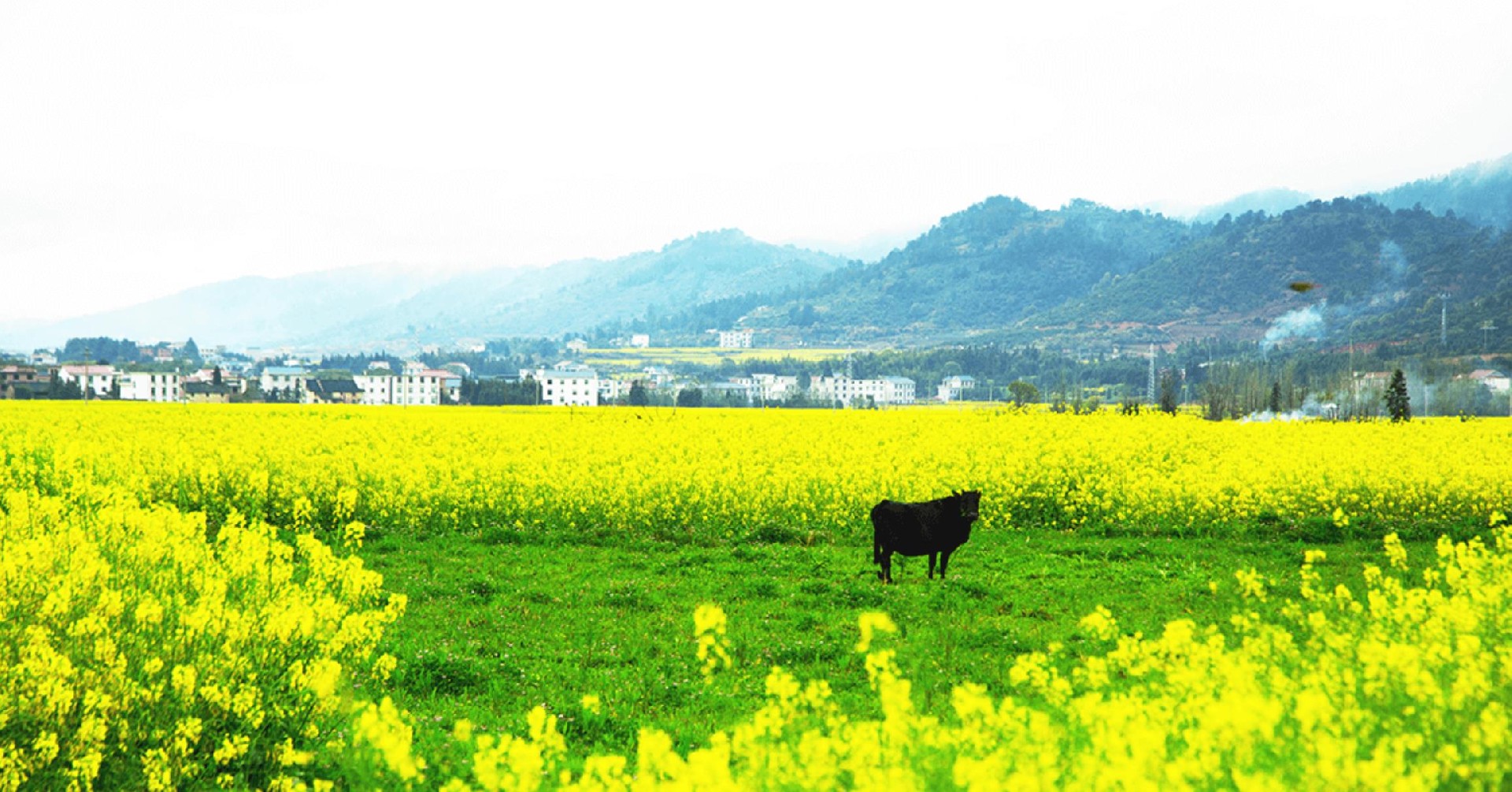 1649984714406552.jpg QQ浏览器截图20220413095037.jpg