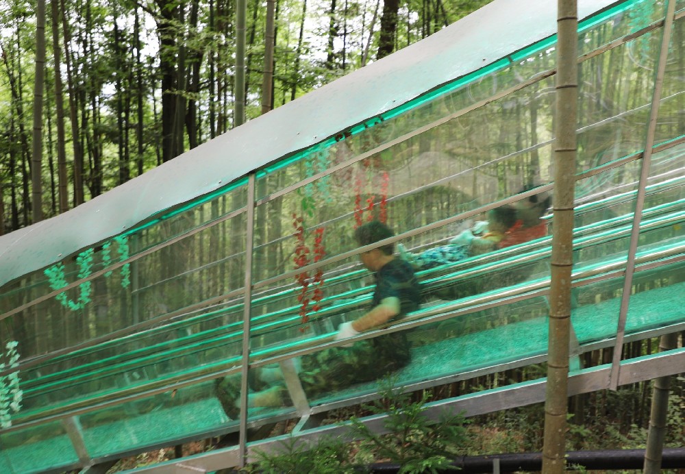 陈总的旱滑道之旅