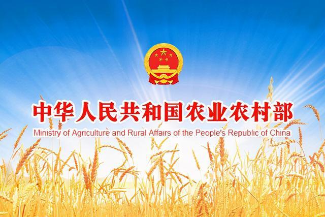 全面反映农业全产业链价值 加快促进乡村产业振兴