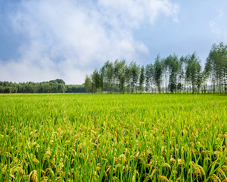 巴西HUB标准生产管理项目