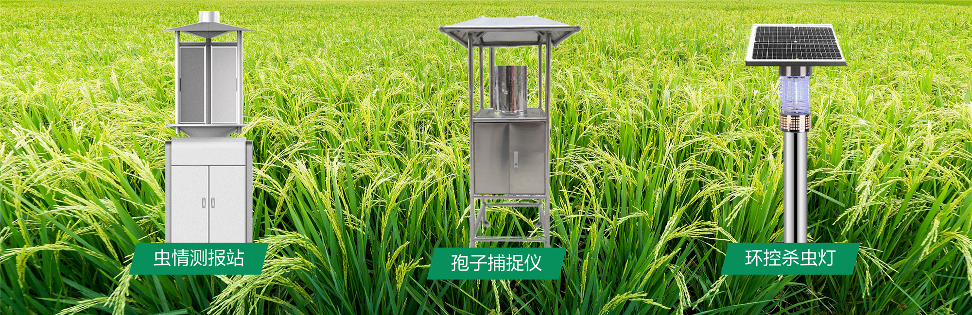 病虫害监测系统