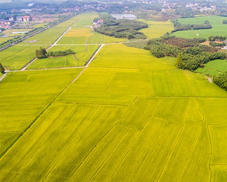 粮贸一体化平台